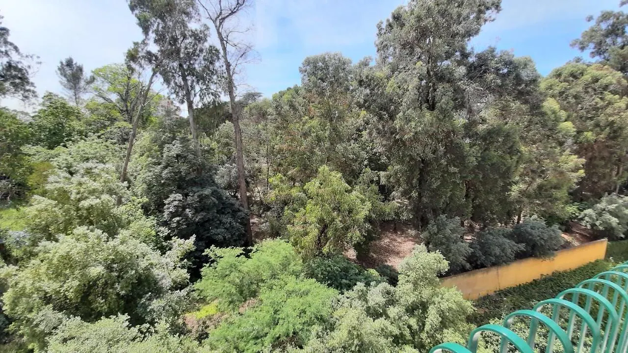 Forest View Lissabon Portugal
