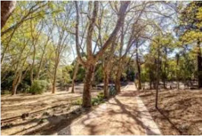 Forest View Lissabon Apartment